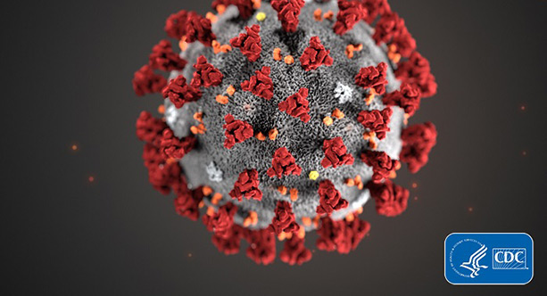 Coronavirus Updates